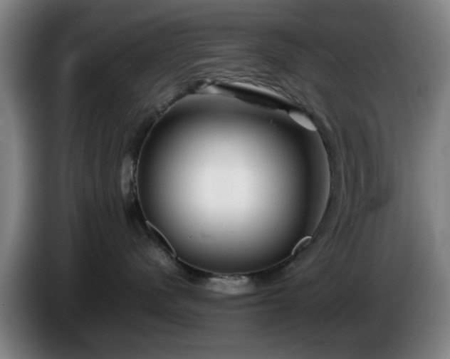 X0000086080480200703301133