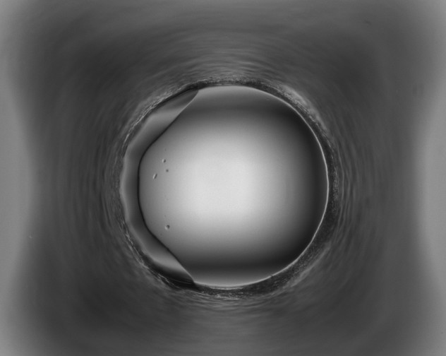 X0000086080481200703301132