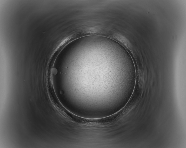 X0000086080482200703301132