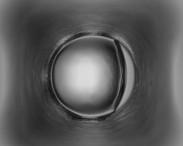 X0000086080483200703301132