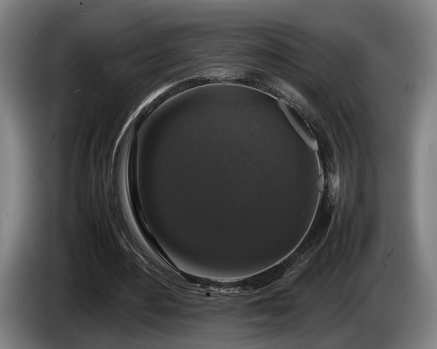 X0000086080484200703301132