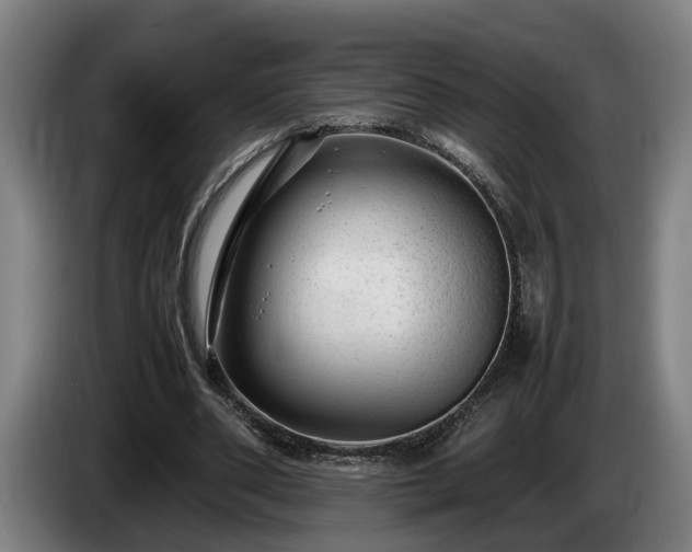 X0000086080486200703301132