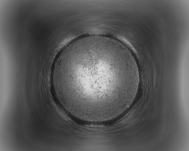 X0000086080487200703301132