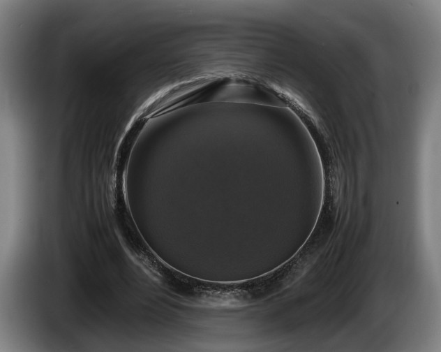 X0000086080488200703301132