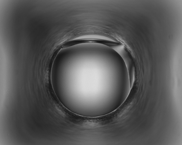 X0000086080489200703301132