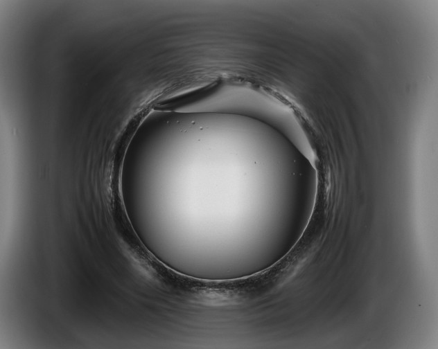 X0000086080490200703301132