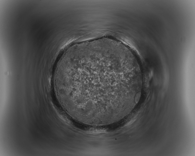 X0000086080491200703301132