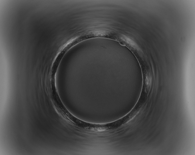 X0000086080492200703301132