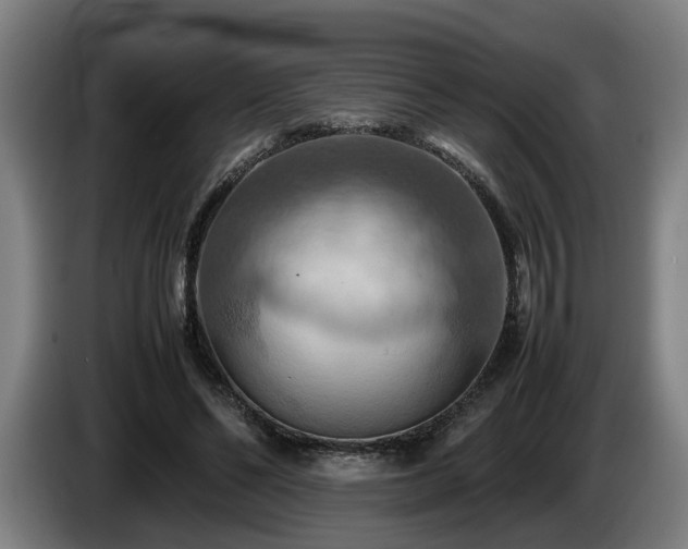 X0000086080494200703301132