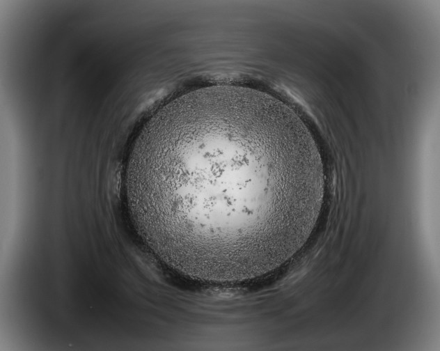 X0000086080495200703301132