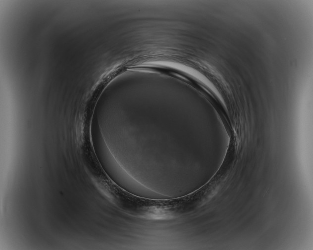 X0000086080496200703301132