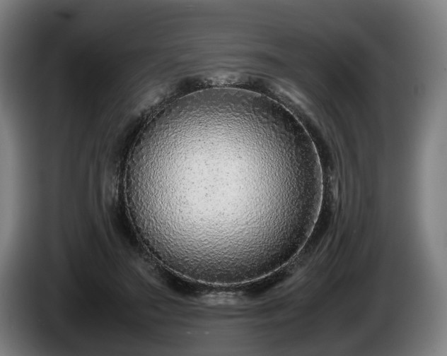 X0000086080499200703301132