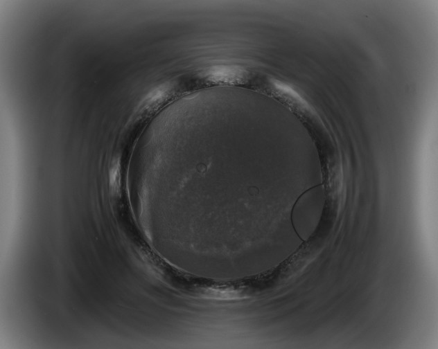 X0000086080502200703301132