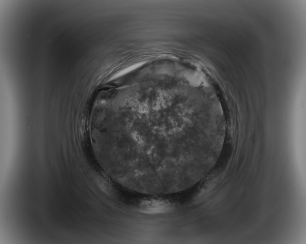 X0000086080503200703301132