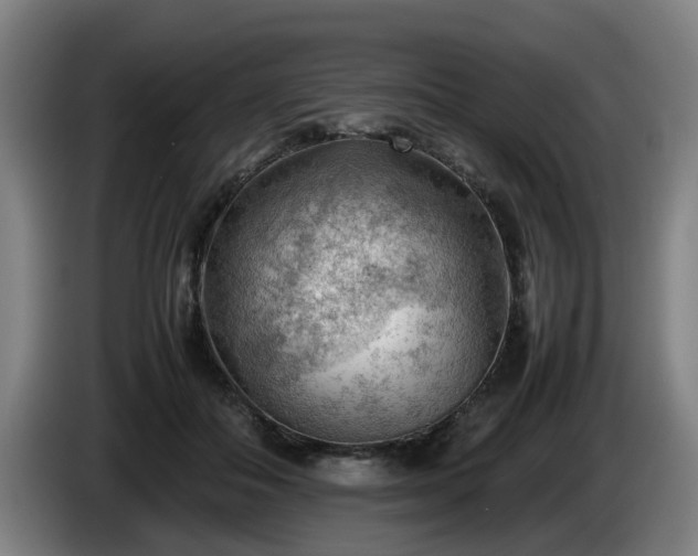 X0000086080506200703301132