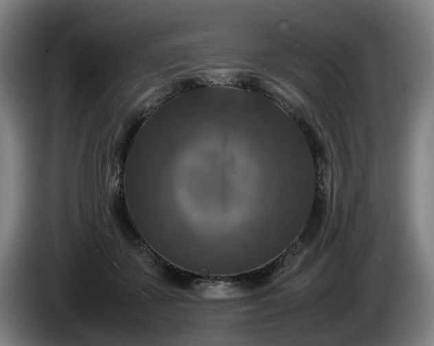 X0000086080507200703301132