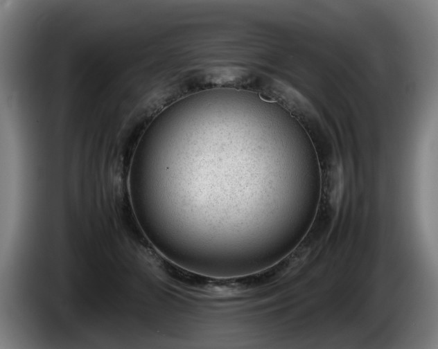 X0000086080510200703301132