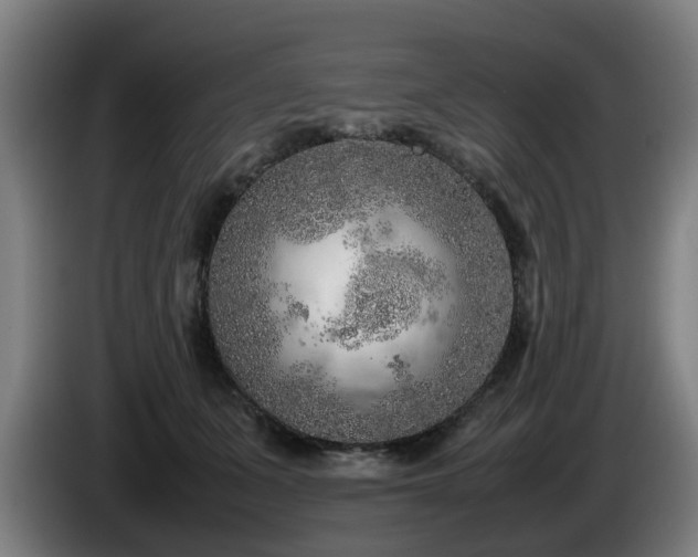 X0000086080511200703301131