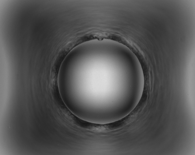 X0000086080513200703301131