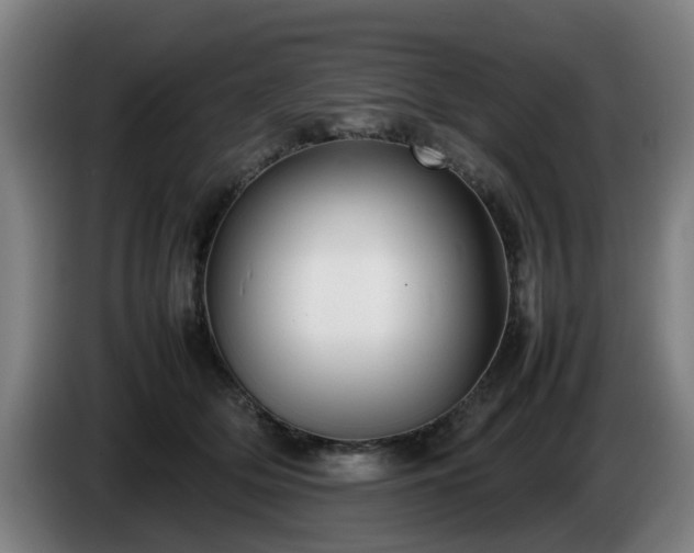 X0000086080514200703301131