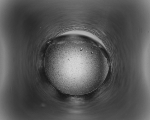 X0000086080515200703301131