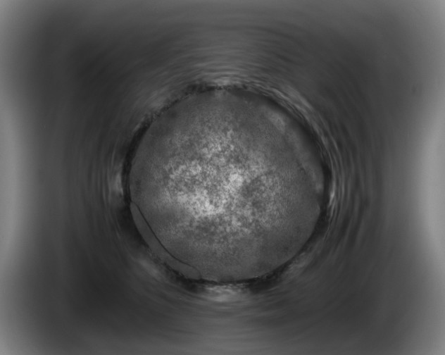 X0000086080516200703301131