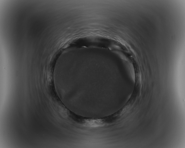 X0000086080517200703301131