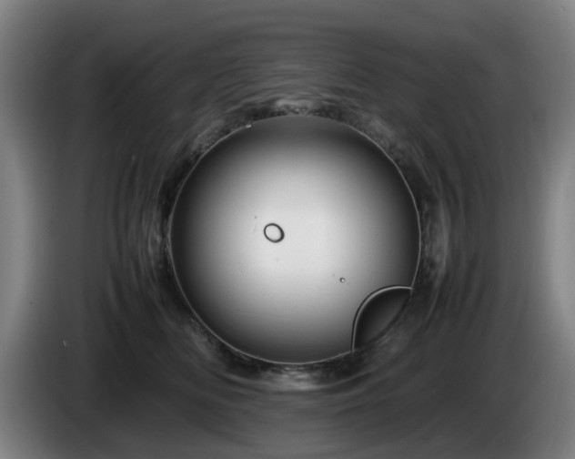 X0000086080518200703301131