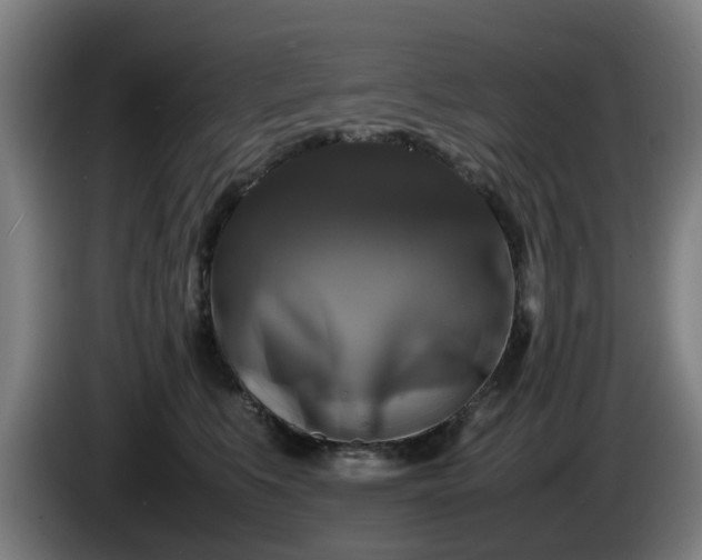 X0000086080519200703301131