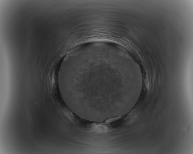 X0000086080520200703301131