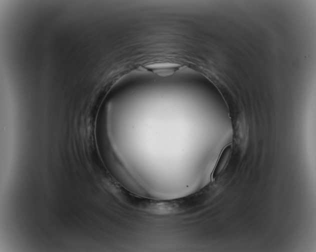 X0000086080522200703301131