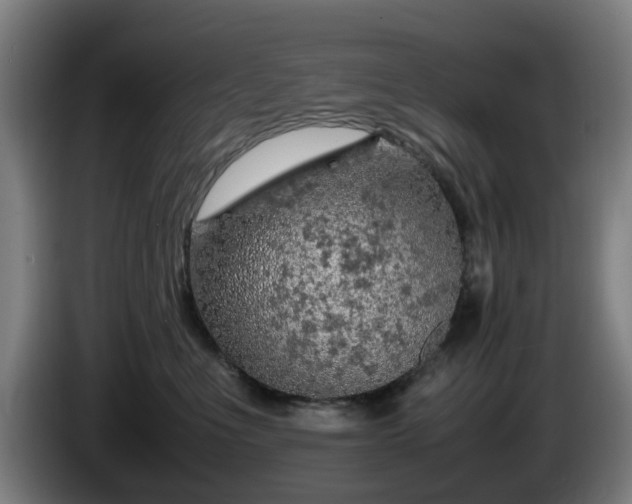 X0000086080523200703301131