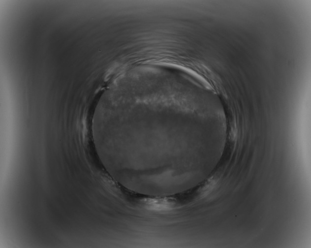 X0000086080524200703301131