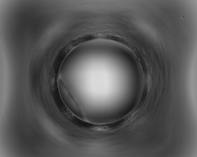 X0000086080525200703301131