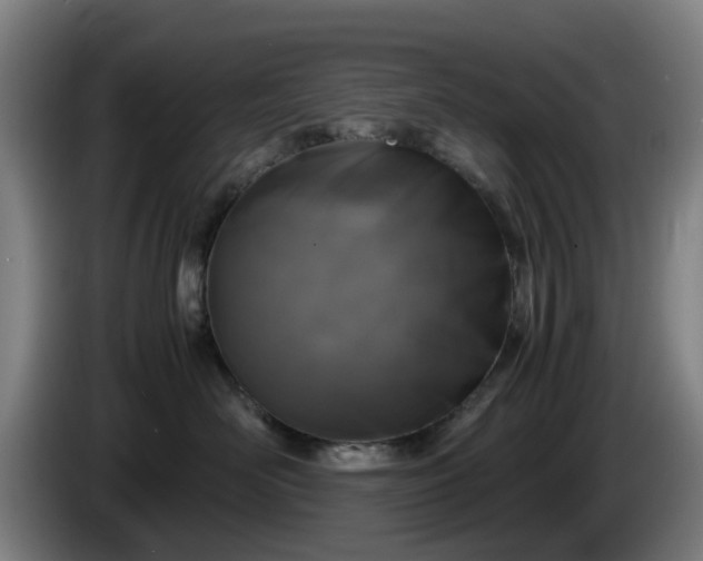 X0000086080526200703301131