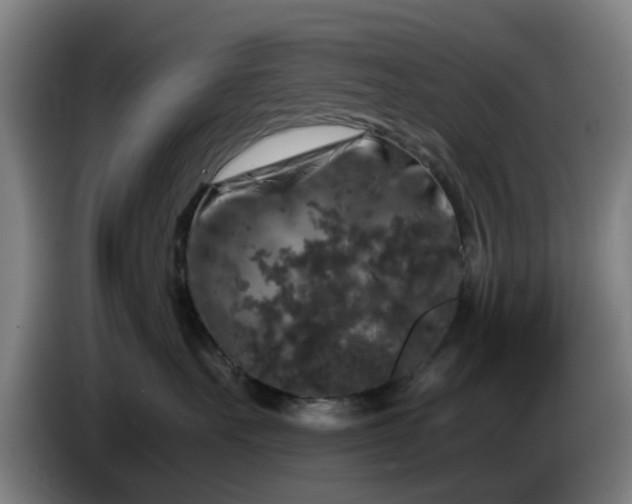 X0000086080527200703301131