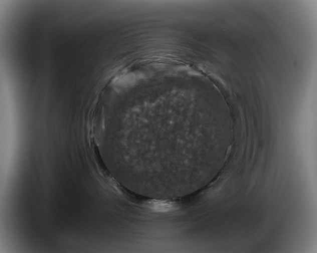 X0000086080528200703301131