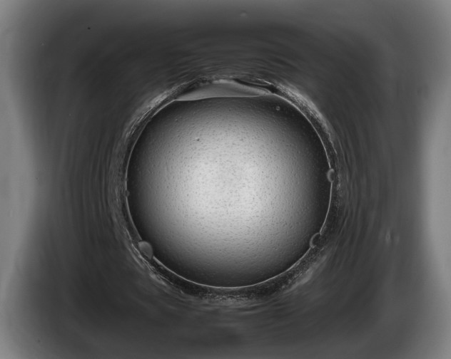 X0000086080529200703301131