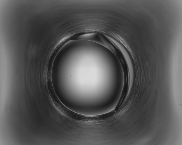 X0000086080530200703301131