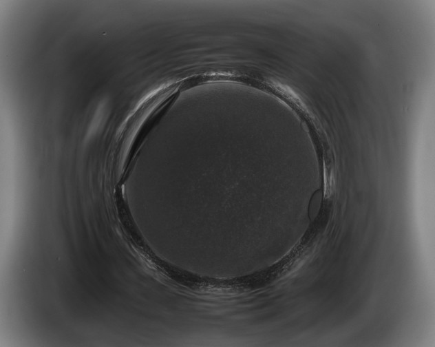 X0000086080531200703301131