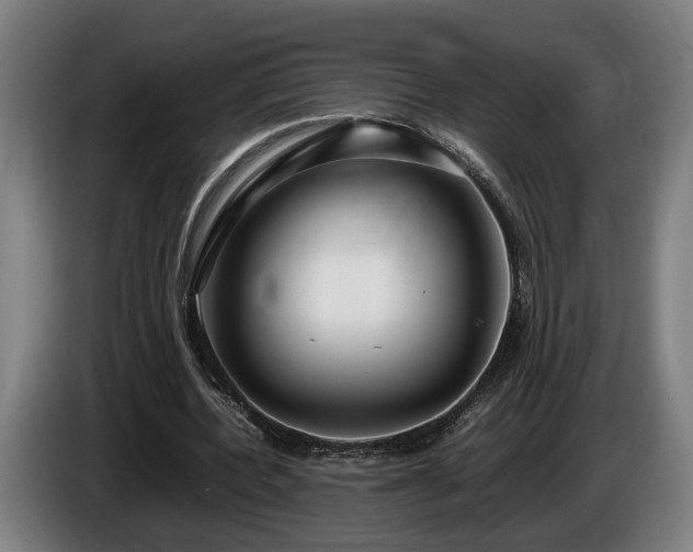 X0000086080532200703301131