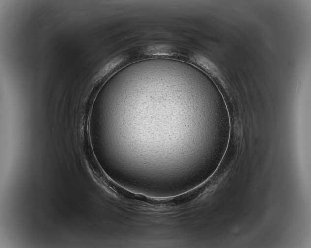 X0000086080533200703301131