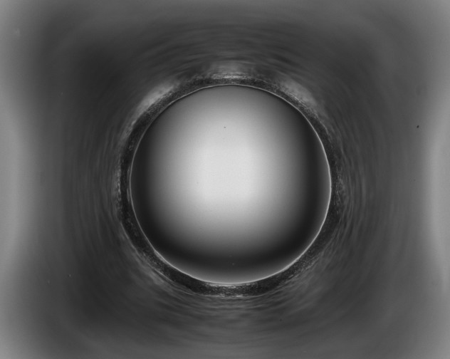 X0000086080535200703301131