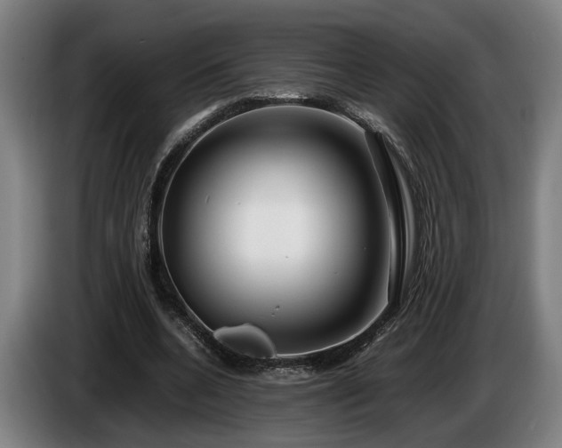 X0000086080536200703301131