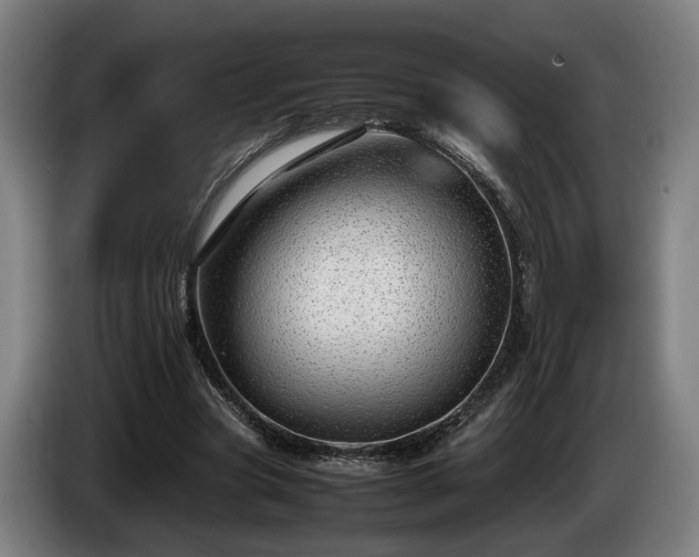 X0000086080537200703301131