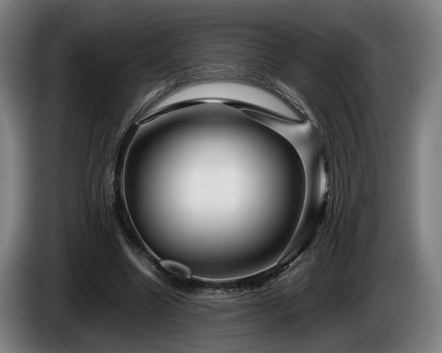 X0000086080538200703301131