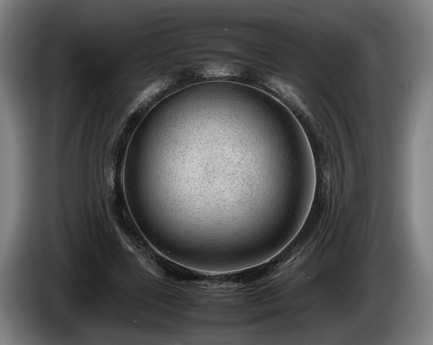 X0000086080539200703301131