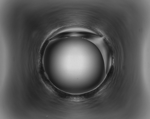 X0000086080540200703301131