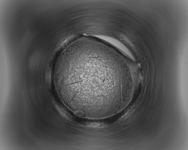 X0000086080542200703301131