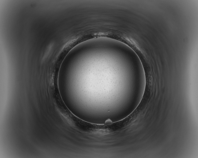 X0000086080543200703301131